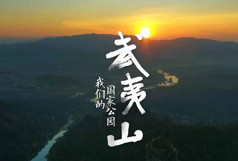 武夷山
