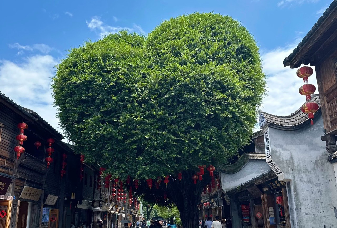 福州市