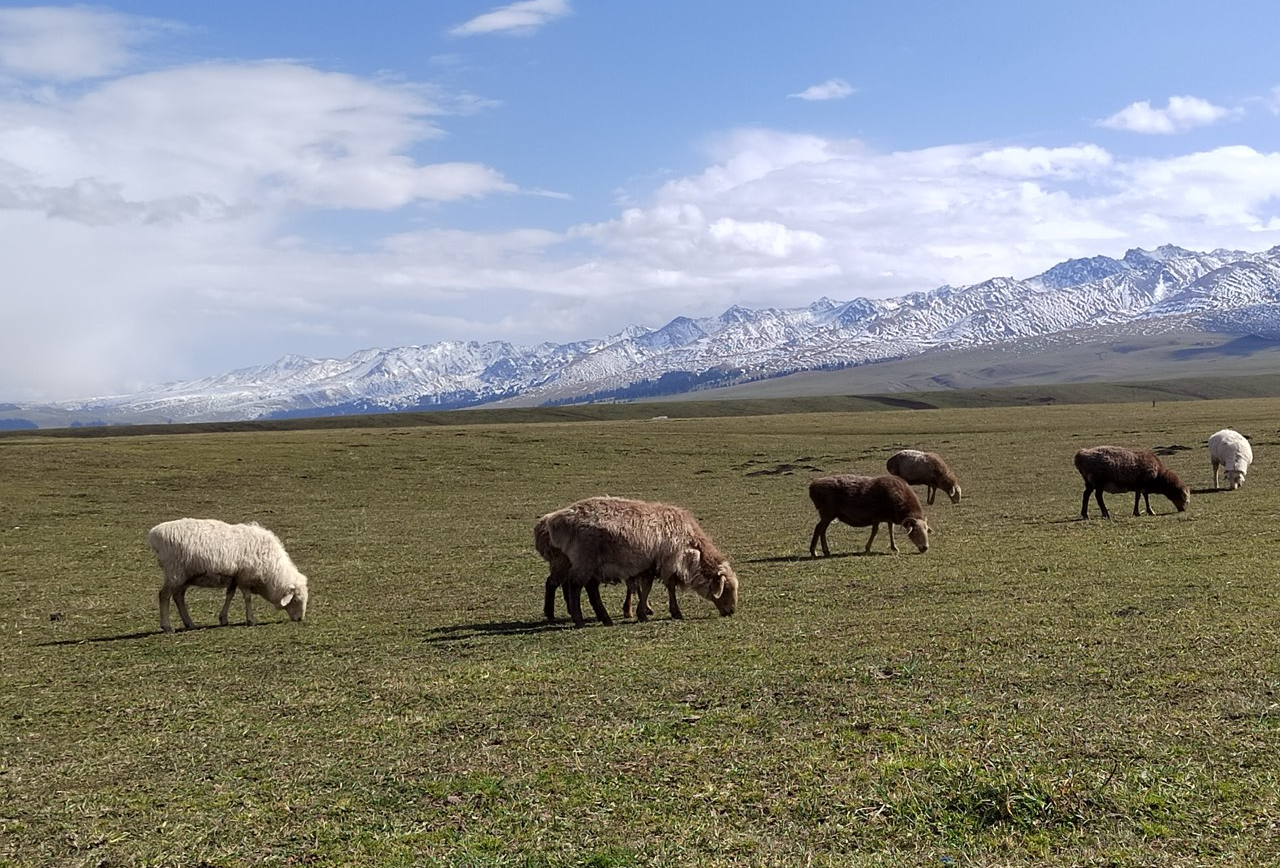 喀什旅游