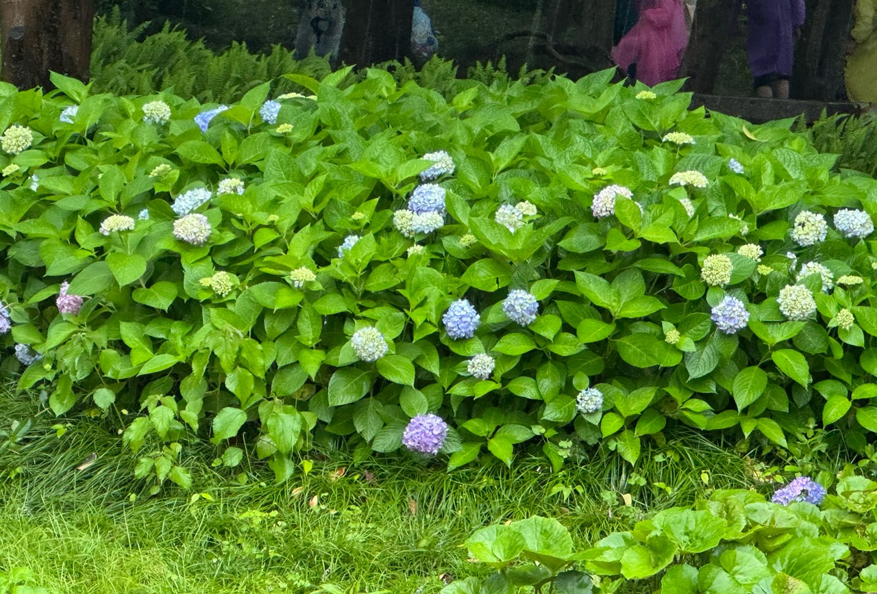 舟山