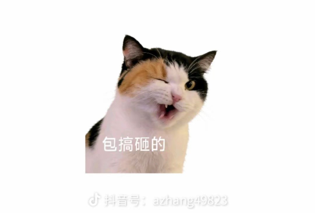 临沂