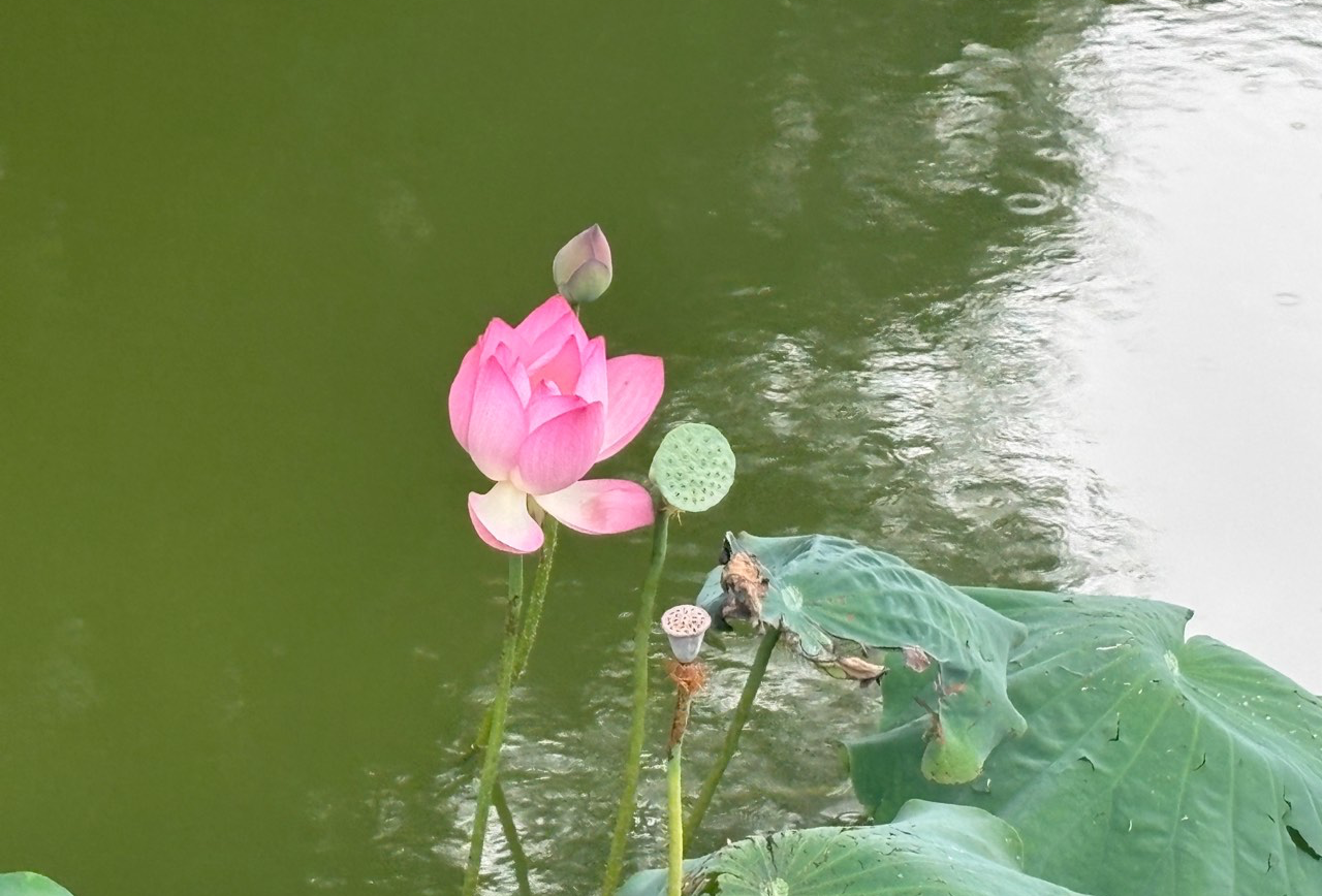 海丰陆丰