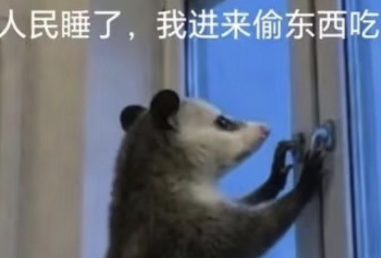 潮汕