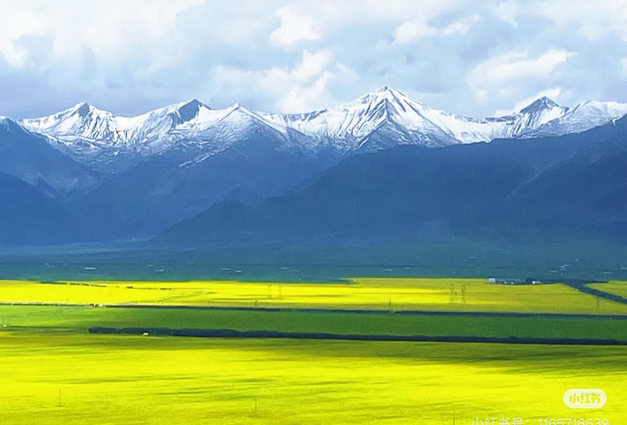 青海湖环线