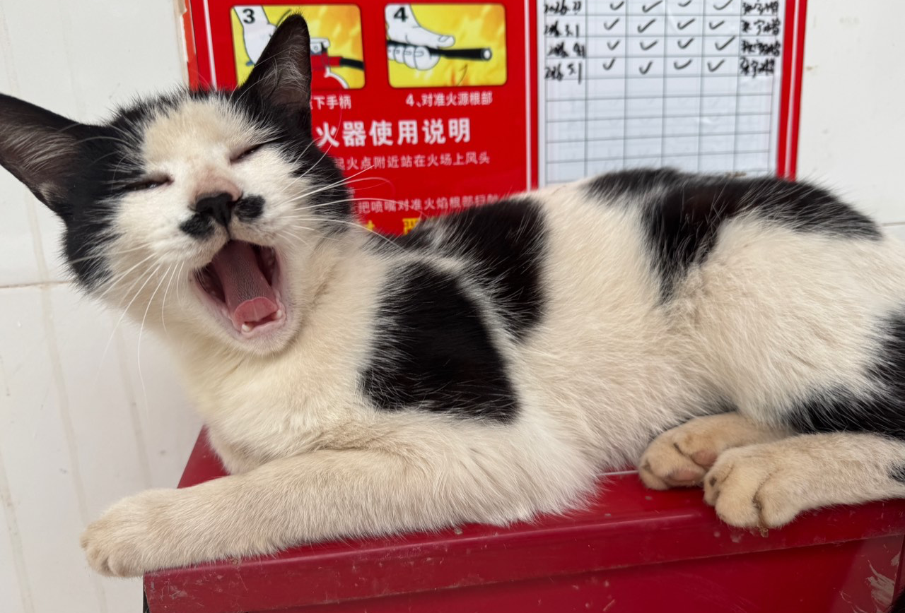 郑州