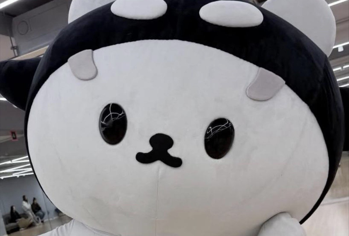 香港一日游