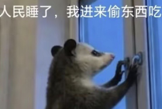 长沙
