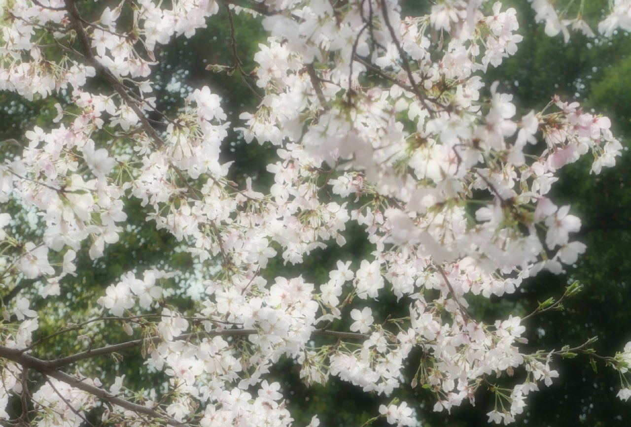 荆州之旅