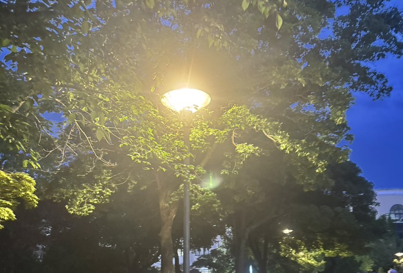 烟台大连