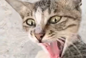安顺