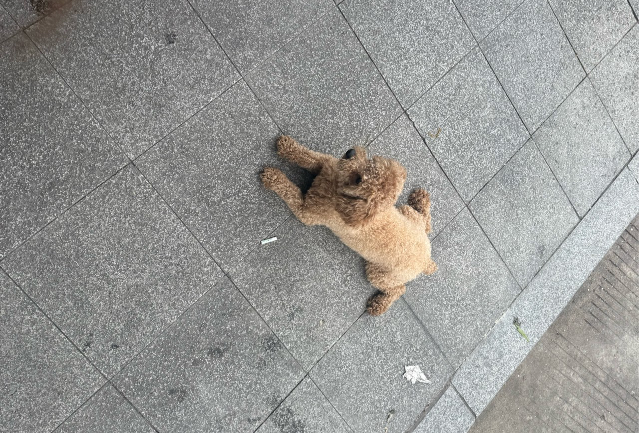 丽水