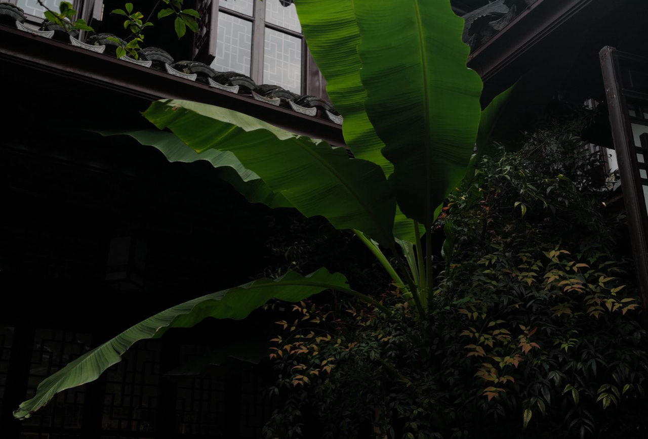 清迈