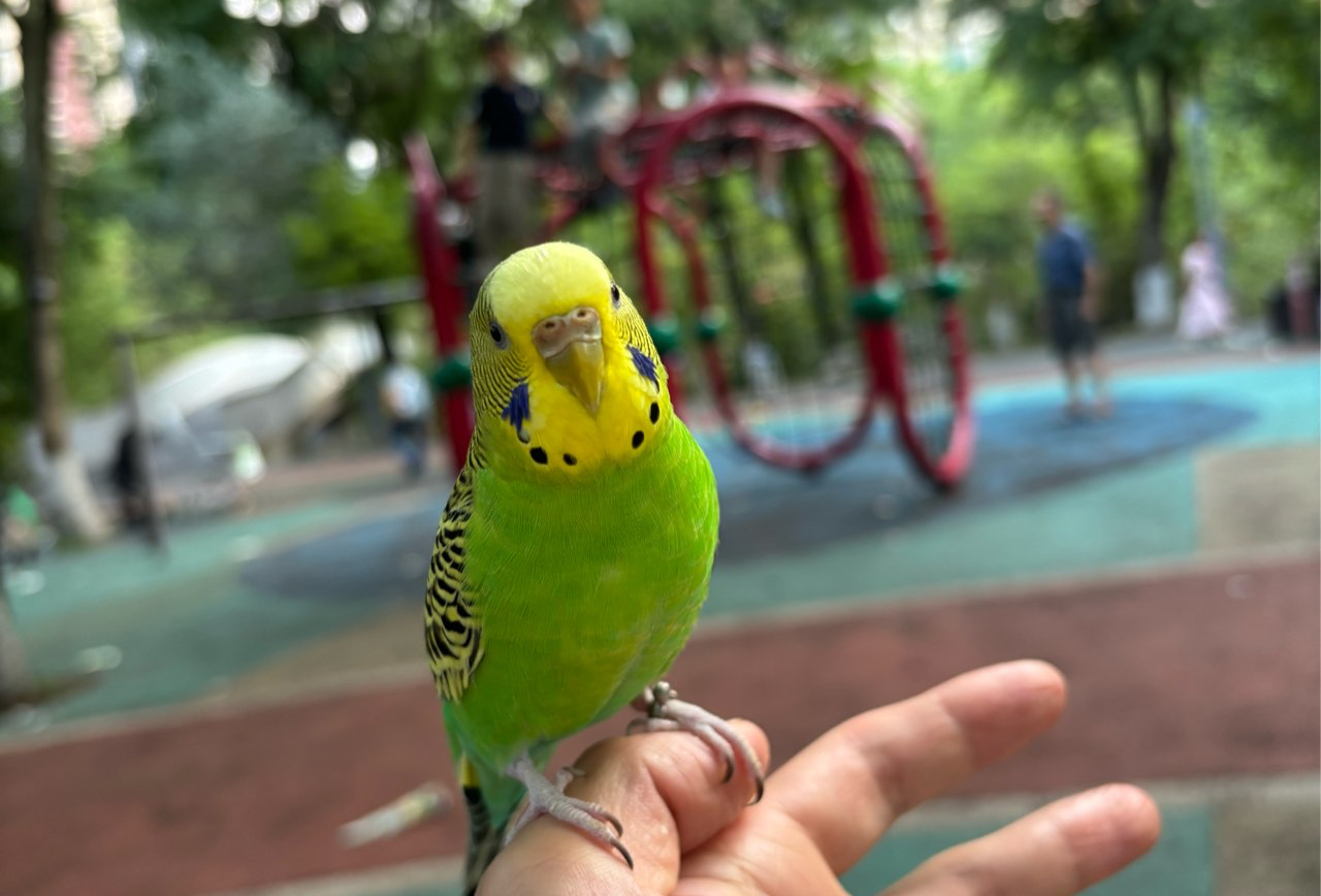 暑假江油