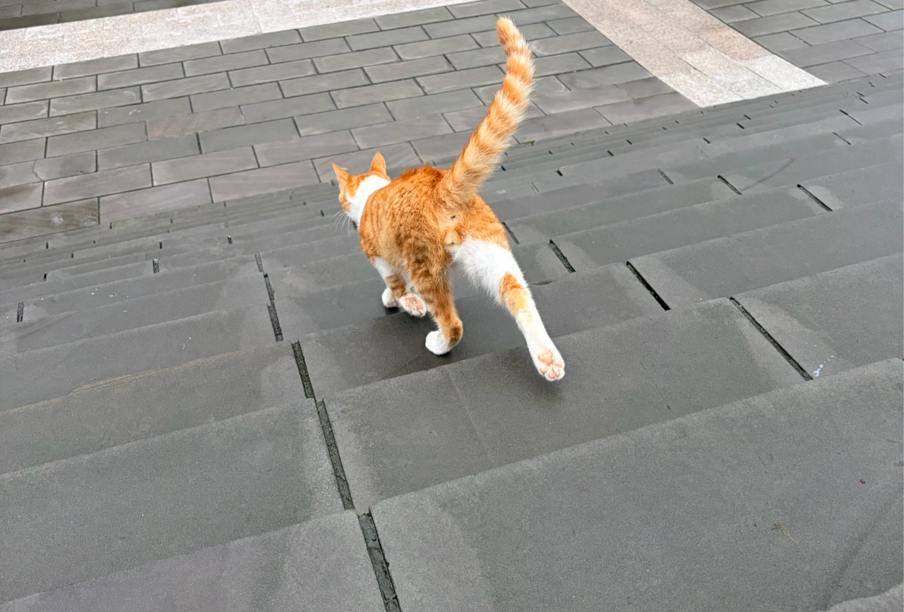 荆州