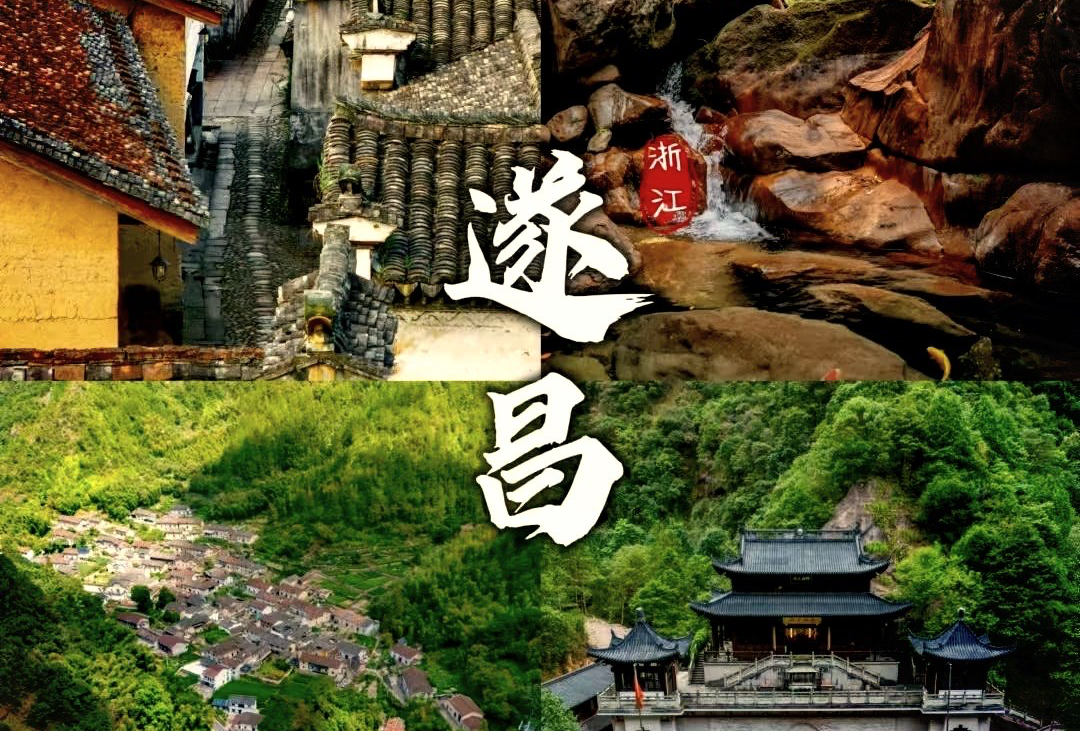 遂昌吃喝玩乐