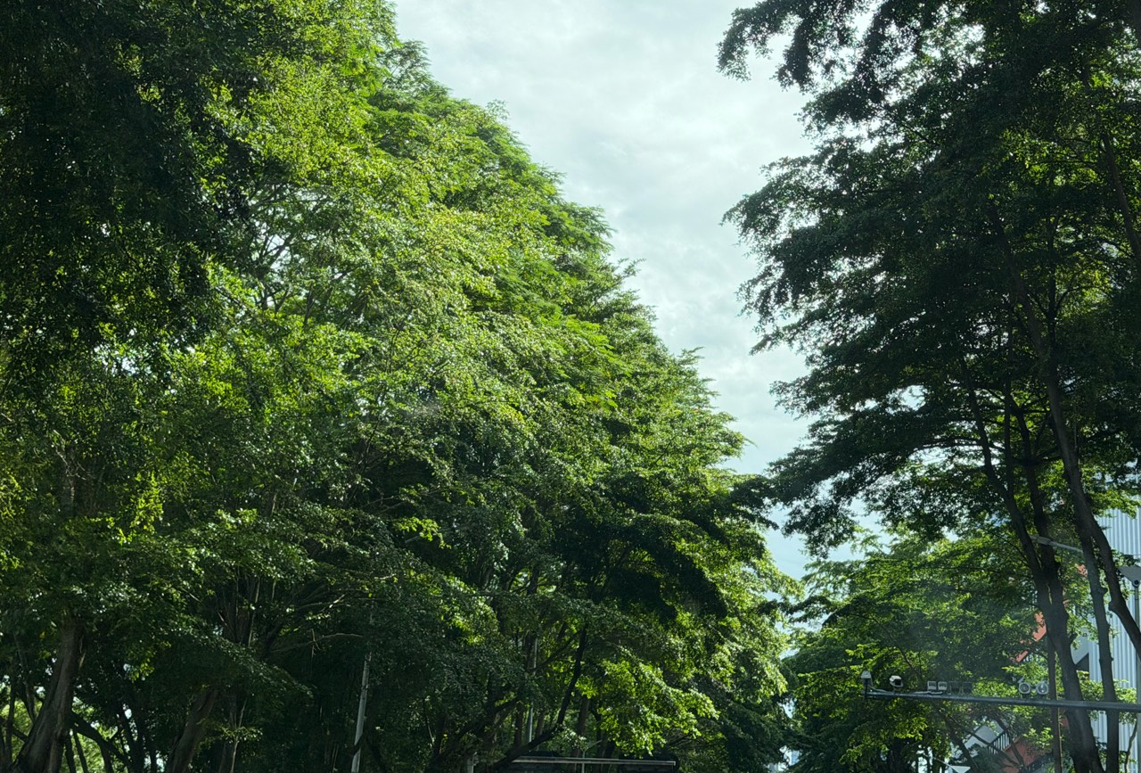 杭州