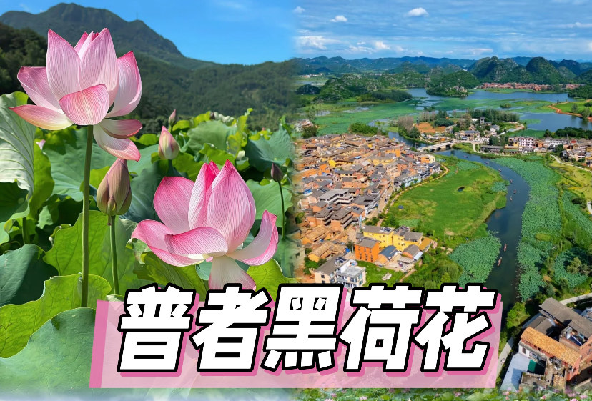普者黑
