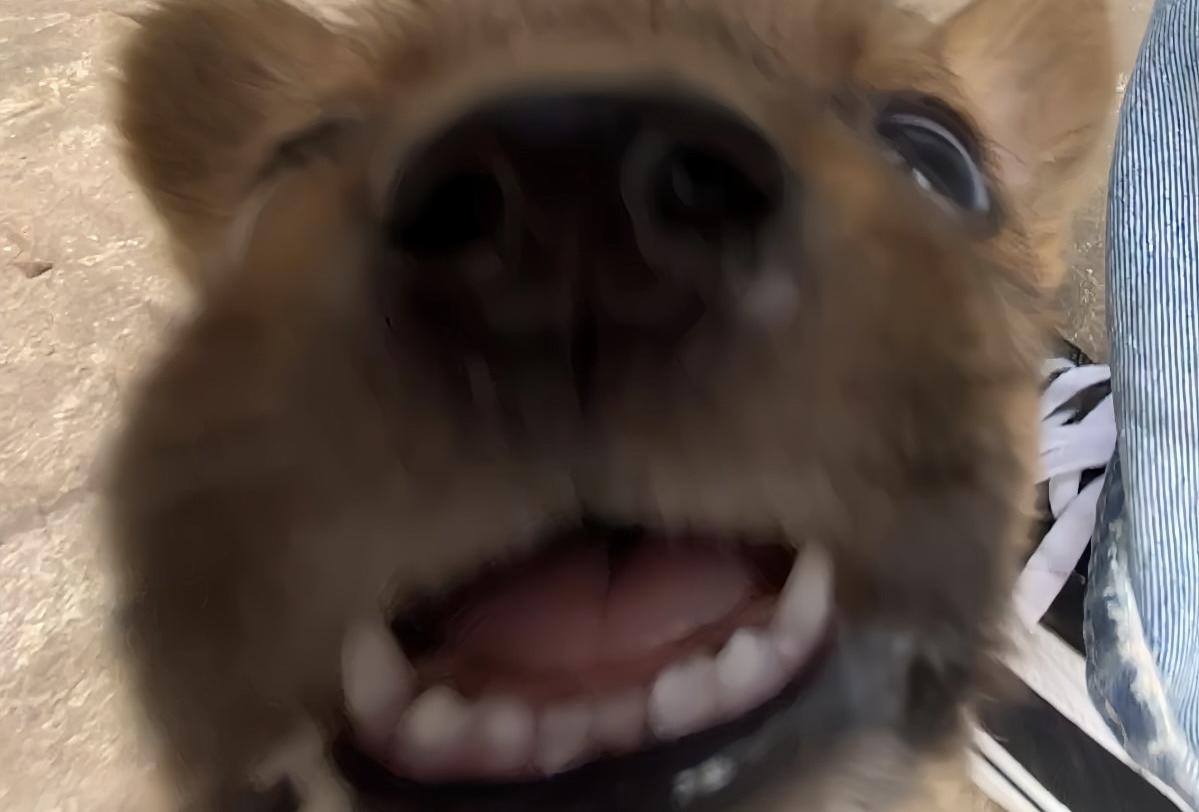 潮州