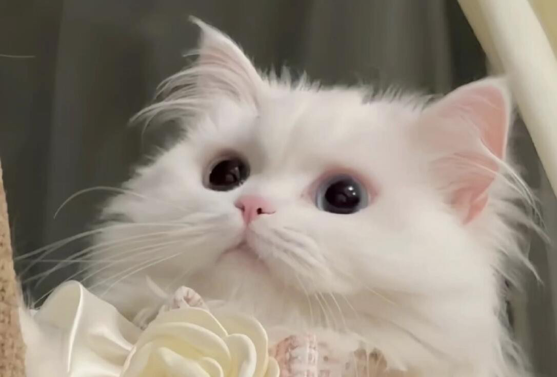 辽宁