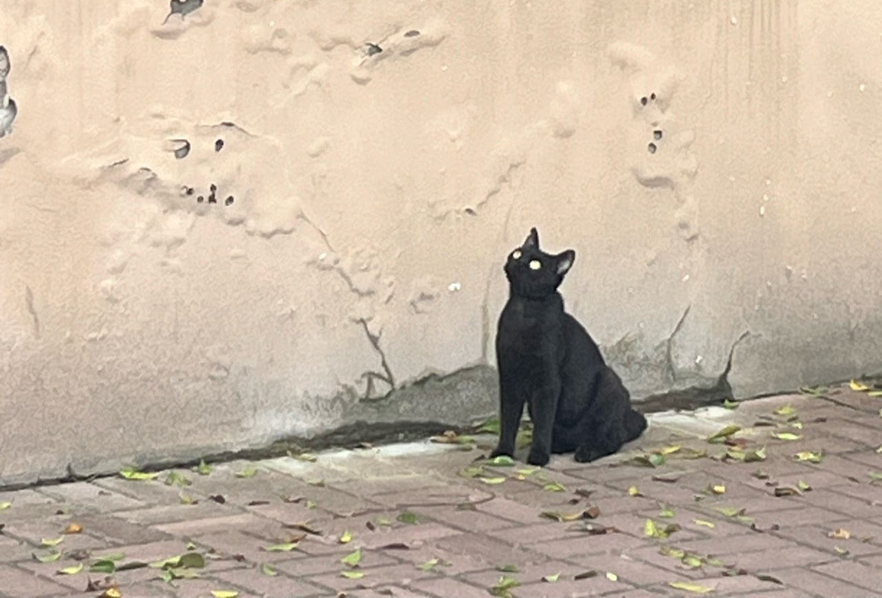 遵义