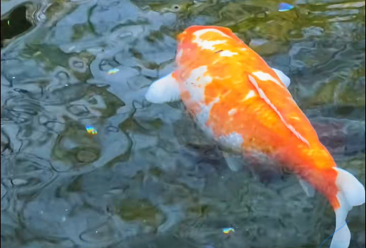 济南