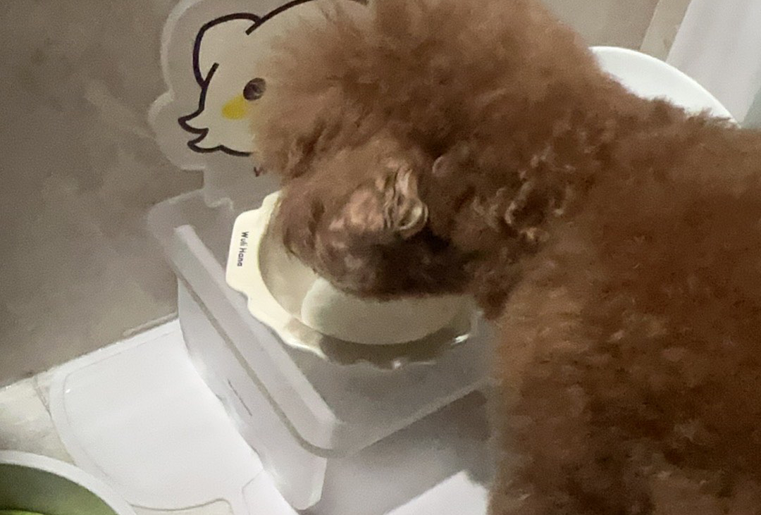 曼谷
