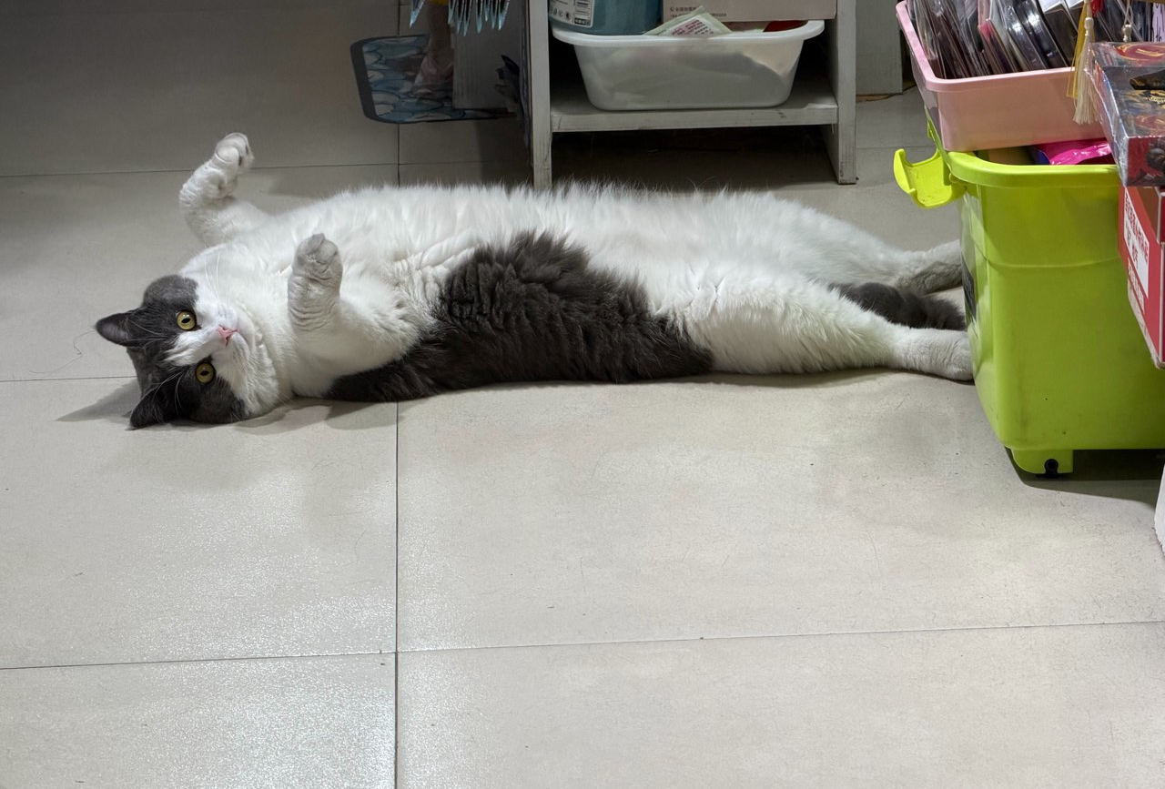 深圳
