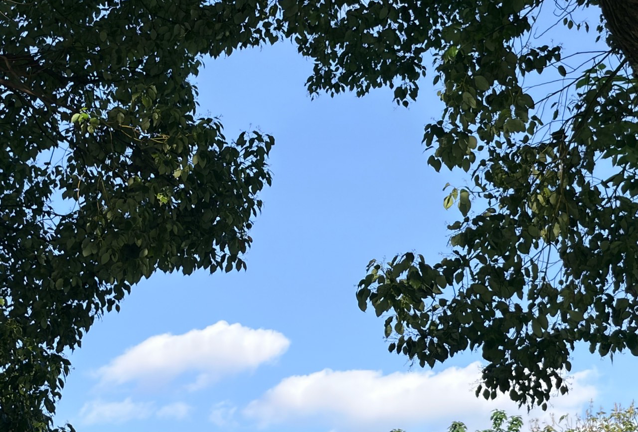 香格里拉