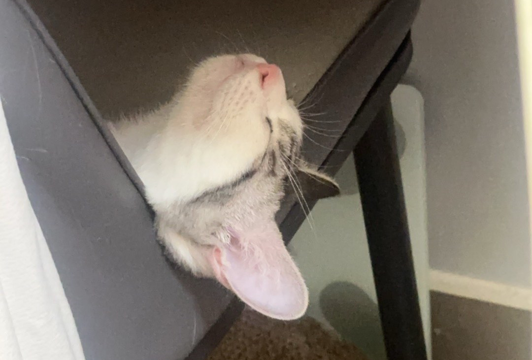 弥勒