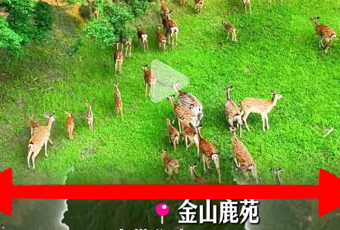 伊春