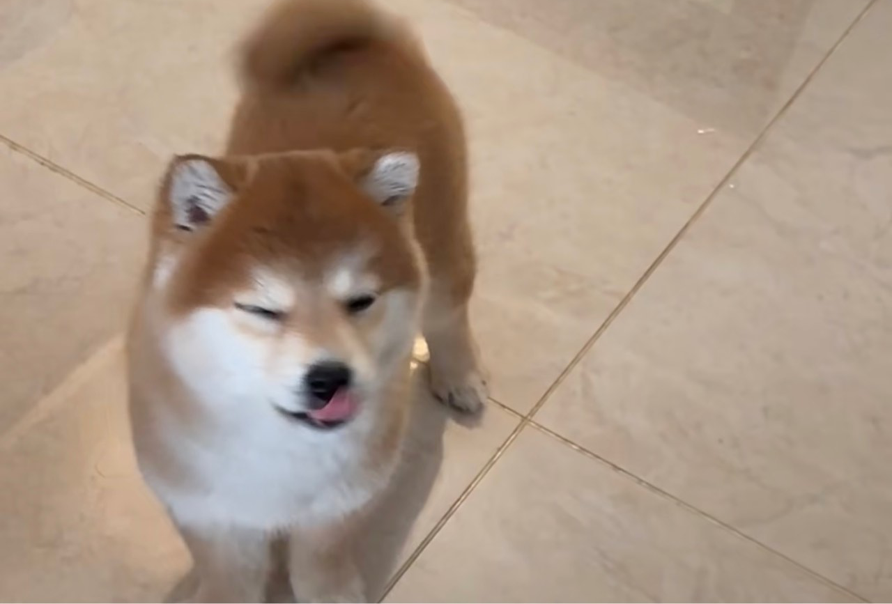 千岛湖
