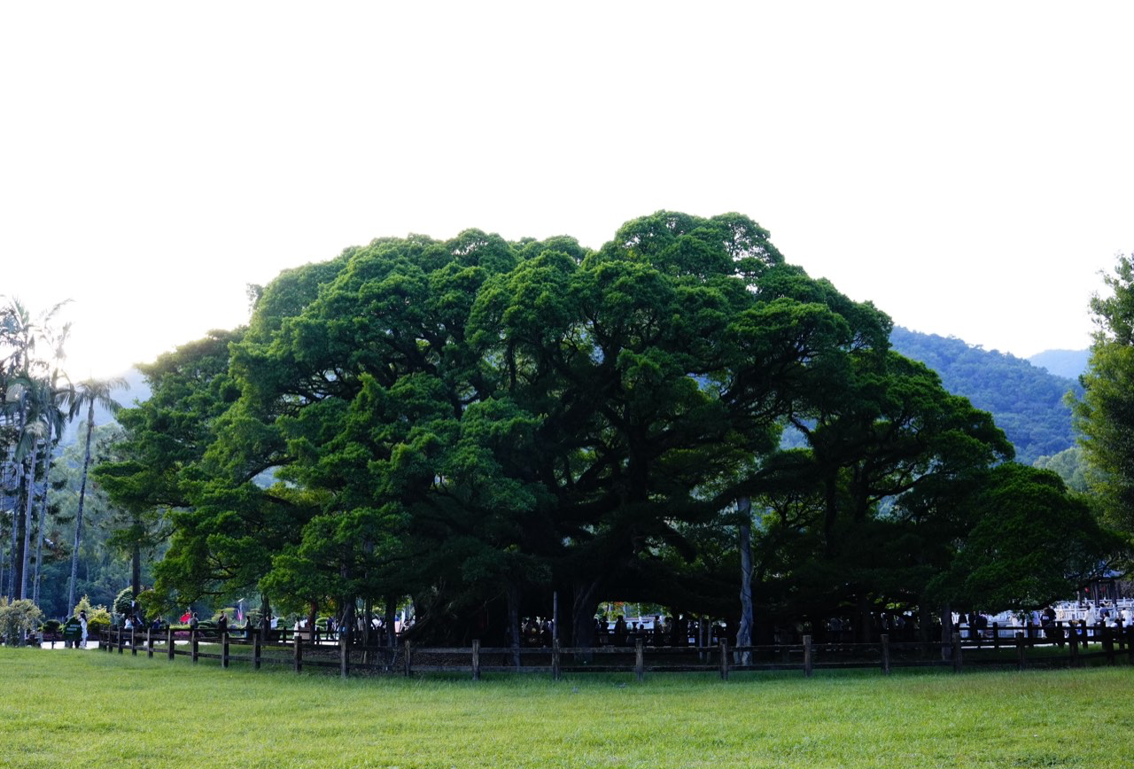 福州三日游