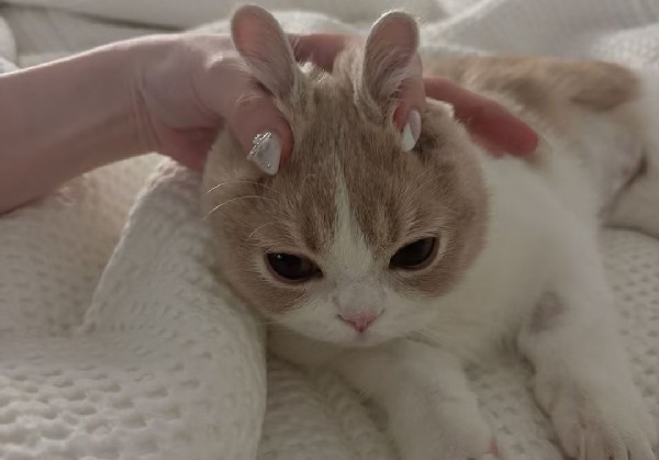 梅州