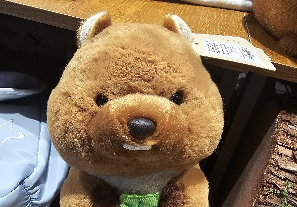 岳阳