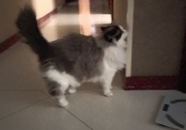 恩施