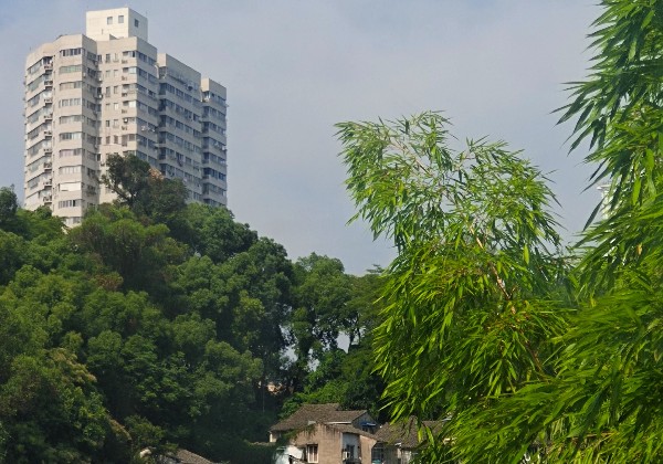 丽水