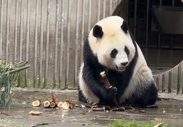盐城旅游