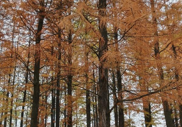 漳州！！我又来啦