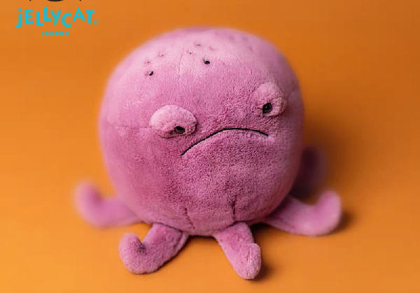 和建筑师在巴黎