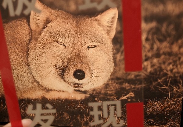 济南两晚吃什么