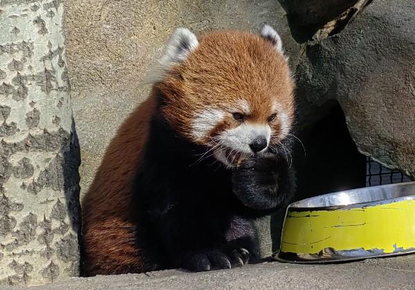 一个不爱去外地的天津人的地图