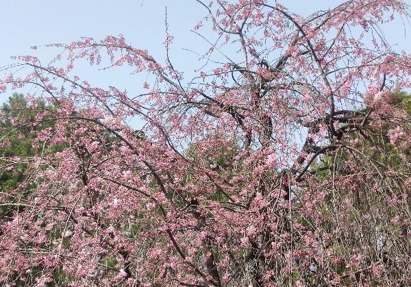 4天3夜休闲型甘孜藏族自治州游