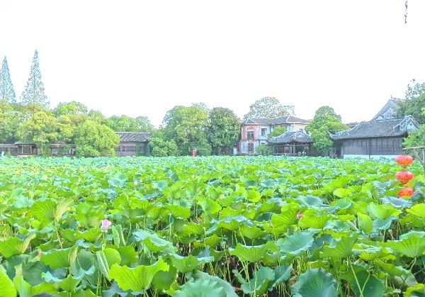杭嘉湖 2025.8