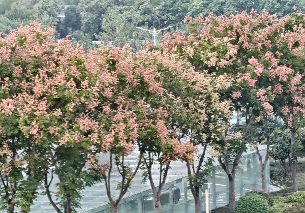 长沙