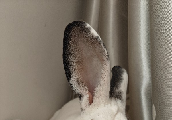 益阳