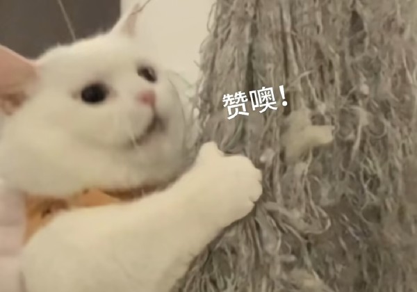 大连游四天三夜（一下午到、四上午走）