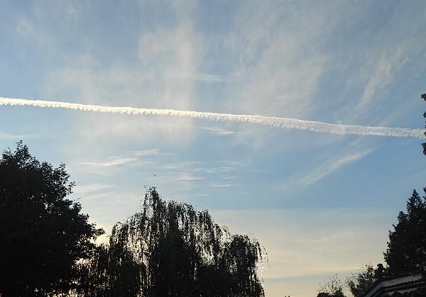 番友3929983的六安市地图