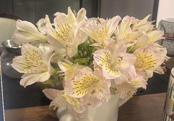 西班牙马德里美食