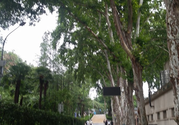 郑州