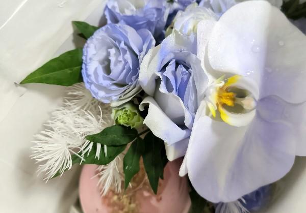 清远4日游